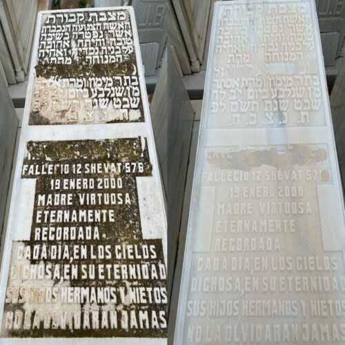 Tomb Cleaning (Premium Service)